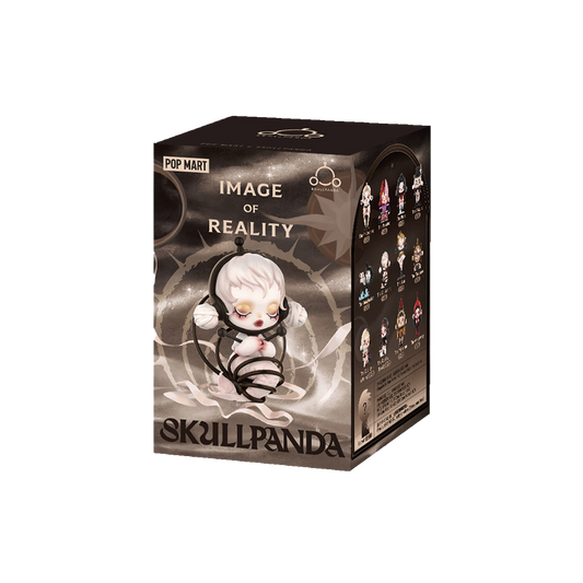 SKULLPANDA Image Of Reality Series Figures Blind Box